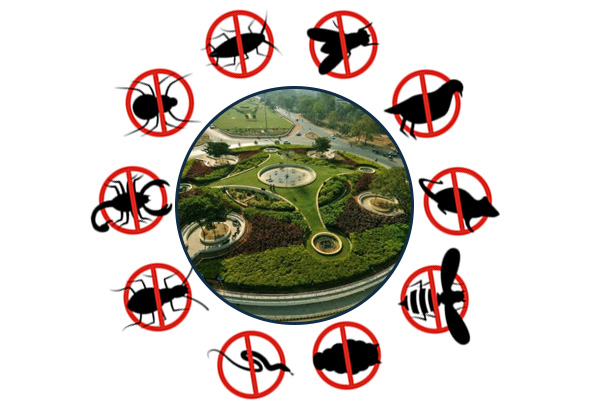 Pest Control Services in Gandhinagar