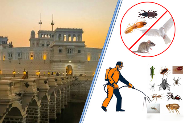 Pest Control Agency and Service Provider in Jamnagar