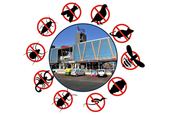 Pest Control Services in Mehsana