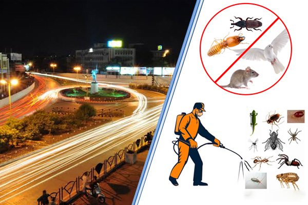 Pest Control Agency and Service Provider in Rajkot