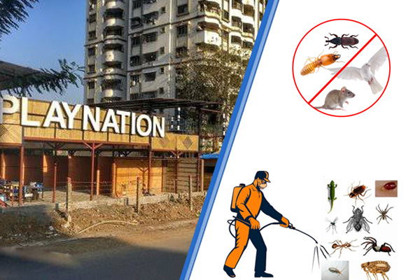 Pest Control Agency and Service Provider in Vapi